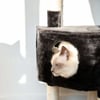 Rascador para gatos - 125 cm - Zolia Hiro