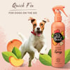Spray de limpeza a seco para cão 300ml - Quick Fix Pet Head