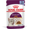 Royal Canin Gusto Sensoriale Gelatina per gatti
