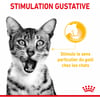 Royal Canin Sensory Taste Nassfutter in Gelee für Katzen