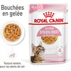 Royal Canin Kitten sterilised pâtée en gelée pour chaton