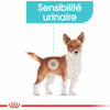 Royal Canin Urinary Care Nassfutter Mousse für Hunde