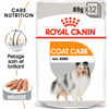 Royal Canin Coat Care paté in mousse per cane