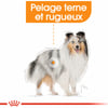 Royal Canin Coat Care - Alimento húmido para cão
