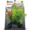 SuperFish Deco Plante artificielle Hottonia 21cm
