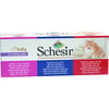 SCHESIR Multipack – Mischung aus 3 Rezepten – Naturfutter für Katzen – 6 x 85 g