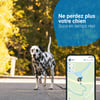 Localizador rastreador GPS Dog 4 para cão com rastreio de actividade - 2 cores disponíveis