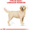 Royal Canin Breed Labrador Retriever Adult