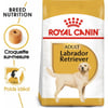 Royal Canin Breed Labrador Retriever Adult