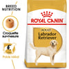 ROYAL CANIN Labrador para cães com mais de 15 meses