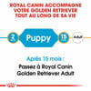 Royal Canin Breed Golden Retriever Junior