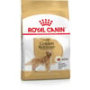 Royal Canin Breed Golden Retriever Adult Ração seca especializada por raças