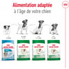 ROYAL CANIN Mini Adult voor kleine honden