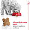 ROYAL CANIN Mini Adult für kleine Hunde