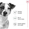 ROYAL CANIN Mini Adult para cão de pequeno porte