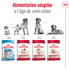 ROYAL CANIN Medium Adult für mittelgroße Hunde