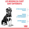 ROYAL CANIN Puppy Maxi pour grand chiot de 2 à 15 mois