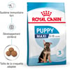 ROYAL CANIN Puppy Maxi pour grand chiot de 2 à 15 mois