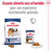 ROYAL CANIN Maxi Adult voor grote honden