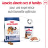 ROYAL CANIN Maxi Adult pour chien de grande taille