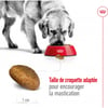 ROYAL CANIN Maxi Adult voor grote honden