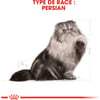 ROYAL CANIN Persian Adult Persan pour chat à partir de 12 mois