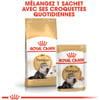 ROYAL CANIN Persian Adult Persan pour chat à partir de 12 mois