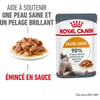 Royal Canin Intense Beauty Comida húmeda en salsa para gatos adultos