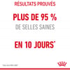 ROYAL CANIN Digestive Care pour chat adulte