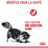 ROYAL CANIN Digestive Care pour croquettes chat adulte pour la santé digestive