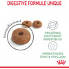 ROYAL CANIN Digestive Care pour croquettes chat adulte pour la santé digestive