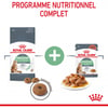 ROYAL CANIN Digestive Care pour croquettes chat adulte pour la santé digestive