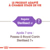 ROYAL CANIN Sterilised 37 para gato adulto esterilizado de 1 a 7 anos