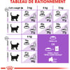 ROYAL CANIN Sterilised 37 para gato adulto esterilizado de 1 a 7 anos