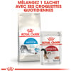 ROYAL CANIN Indoor 27 pour chat d'intérieur de 1 à 7 ans