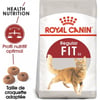 Royal Canin Feline Adult Fit 32