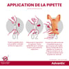 ADVANTIX Pipette anti-parasitaire pour chien - Anti-puce, tiques, moustiques, phébotomes, poux broyeurs et mouches d’étable