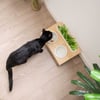 Taça dupla de cerâmica com armação de madeira + suporte erva de gato Zolia Cat'Slate