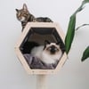 Zolia CosyHut casa per gatti con tiragraffi
