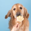 Smoofl Mix für Eiscreme für erwachsene Hunde - Erdnussbutter