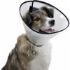 Halskrause für Hunde – 4 Größen erhältlich