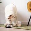Zoomalia Basic Terrinen getreidefrei für Hunde - 2 Rezepte nach Wahl