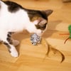 Box mit 9 Weihnachtsüberraschungen für Katzen Zolia