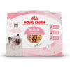 Royal Canin Kitten Multi Pack - 4x85g