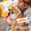 Smoofl Eis-Mix für ausgewachsene Hunde - Mango