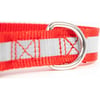 reflektierendes Halsband in rot Zolia Lumoz