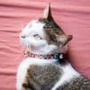 Collare gatto Zigzag Zolia Fenicottero rosa sfondo beige - 2 taglie