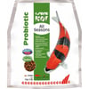 Sera Koi All Seasons Probiotic Alimento completo para peces Koi
