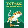 Magnet Topaze Zoomalia