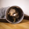 Túnel con cama para gatos Zolia Mancha
